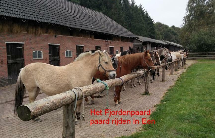 Een-West De Riekhoff 빌라 외부 사진