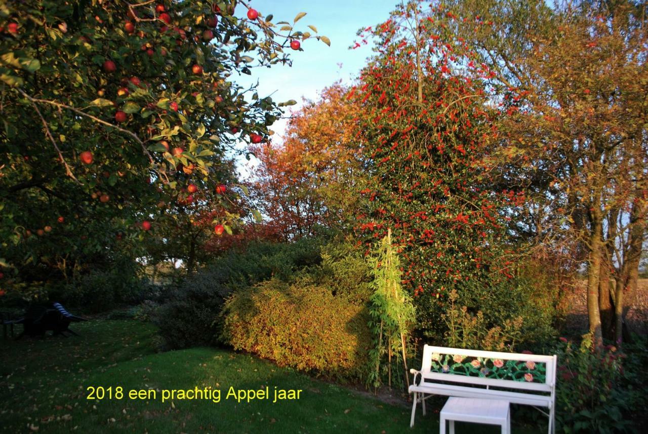Een-West De Riekhoff 빌라 외부 사진